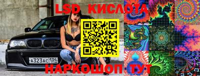 крисы Славгород