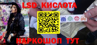 крисы Славгород