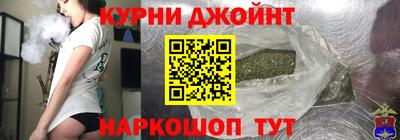 крисы Славгород