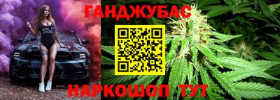 крисы Славгород