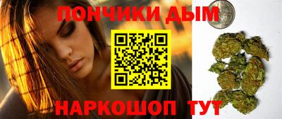 крисы Славгород