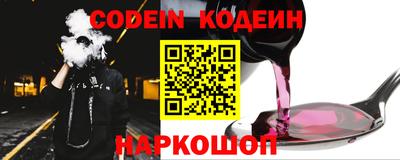 крисы Славгород