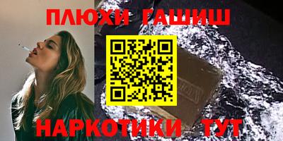 крисы Славгород