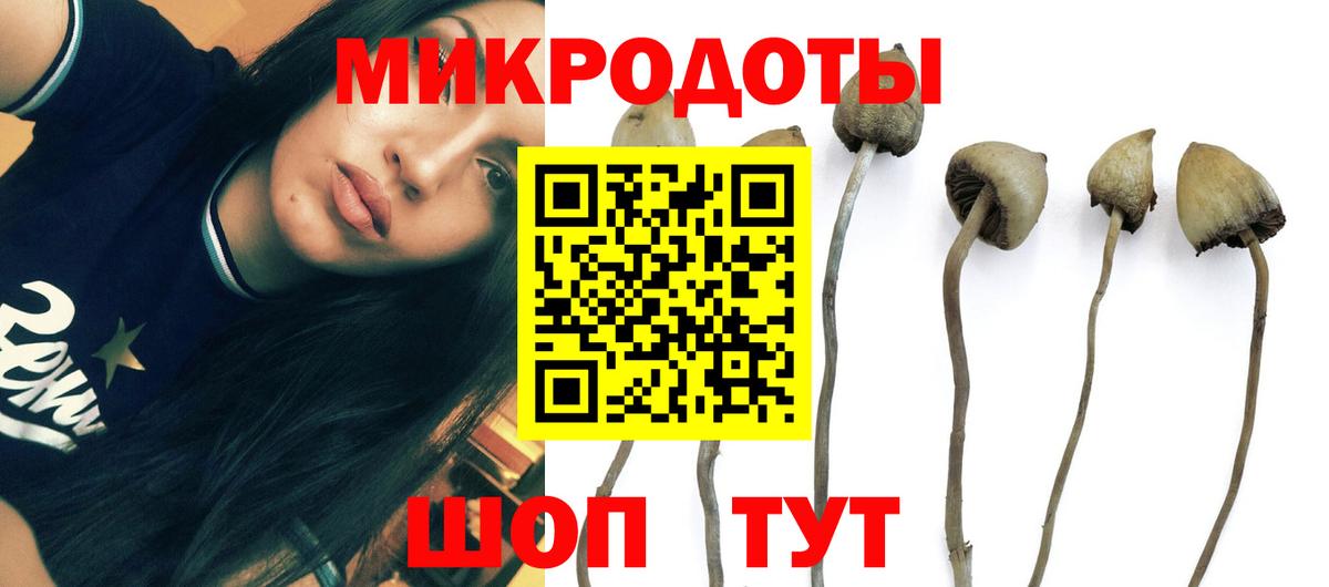 Псилоцибиновые грибы GOLDEN TEACHER Пыть-Ях